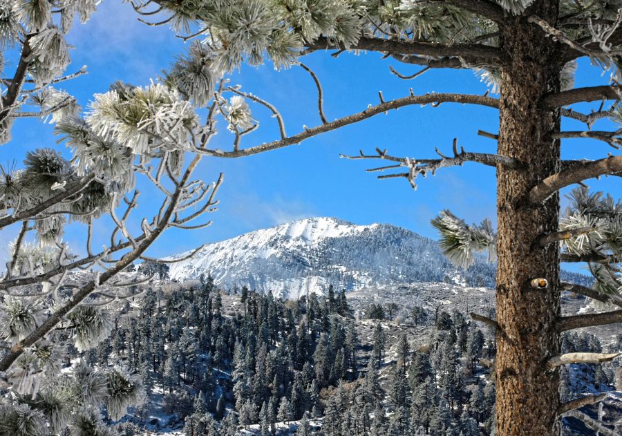 Mount Baden-Powell